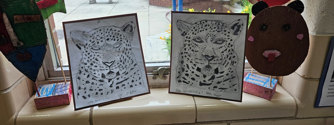 Student artwork - leopard sketches